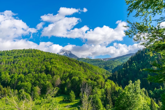 Picturesque Komovi Mountains are located in the east of Montenegro