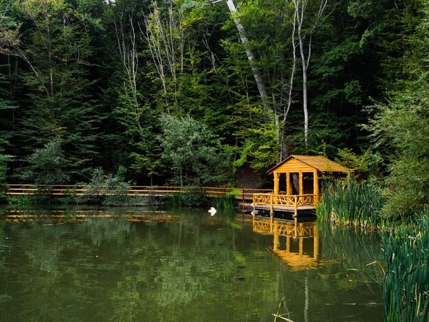 Picturesque landscape Lake house Reflection in water Forest