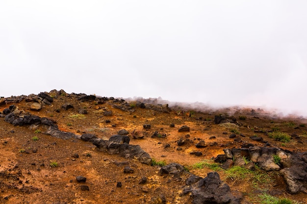 Picturesque landscape with green nature in Iceland during summer.