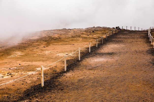 Picturesque landscape with green nature in Iceland during summer.