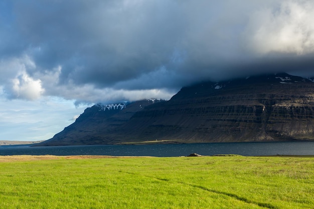 Picturesque landscape with green nature in Iceland during summer.