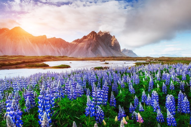 The picturesque landscapes forests and mountains of Iceland