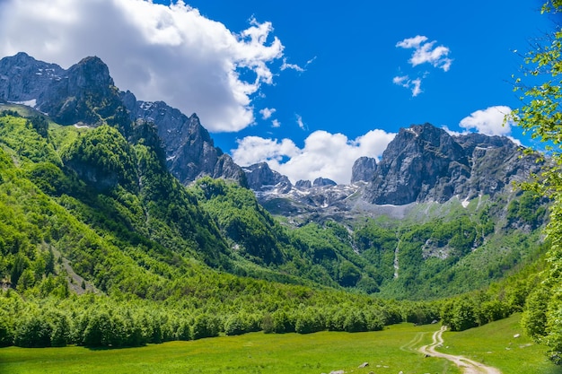 Picturesque meadows and forests are located among the high mountains