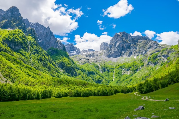 Picturesque meadows and forests are located among the high mountains