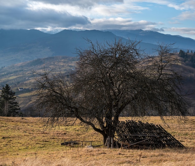 Picturesque morning above late autumn mountain countryside Ukraine Carpathian Mountains Peaceful traveling seasonal nature and countryside beauty concept scene