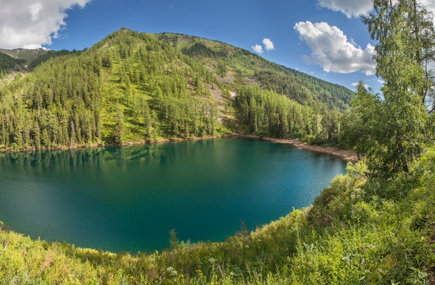 Picturesque mountain lake on a summer day