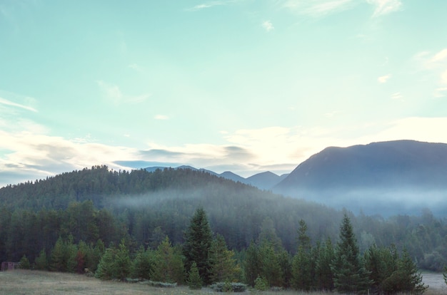 Picturesque mountain landscape on rainy day in Summer time.