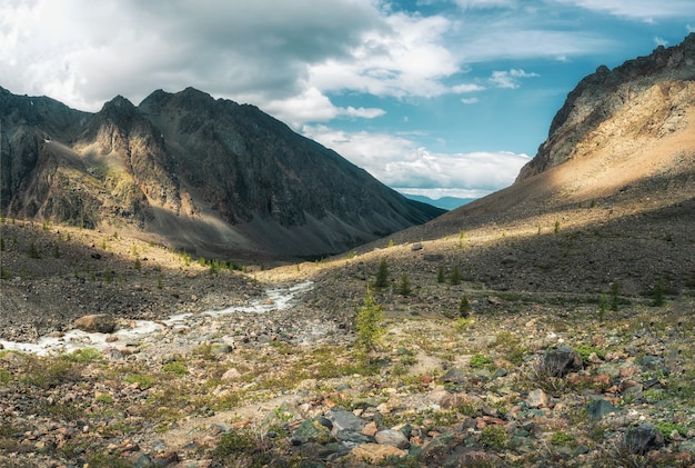 Picturesque mountain valley. Colorful sunny green landscape with river and silhouettes of big rocky mountains and epic deep gorge. Altai Mountains.