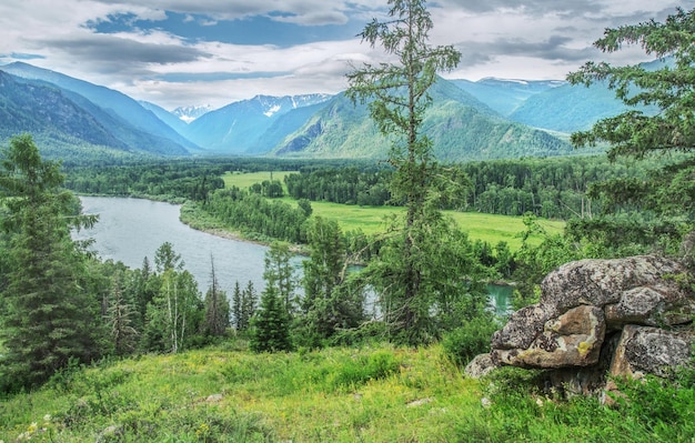 Picturesque mountain valley on a sunny summer day wild river