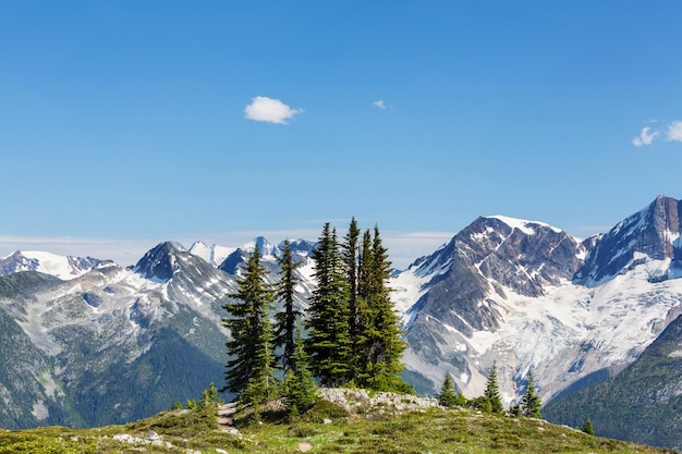 Picturesque mountain view in the Canadian Rockies in summer season