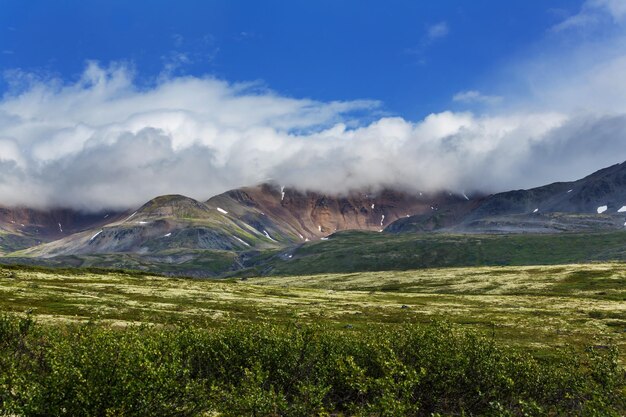 Picturesque mountain view in the Canadian Rockies in summer season