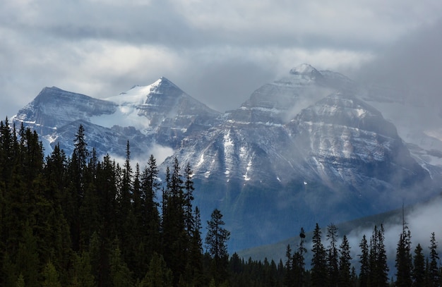 Picturesque mountain view in the Canadian Rockies in summer season