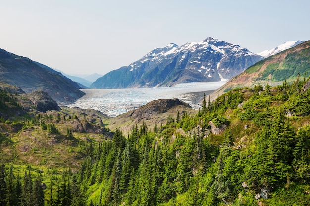 Picturesque mountain view in the Canadian Rockies