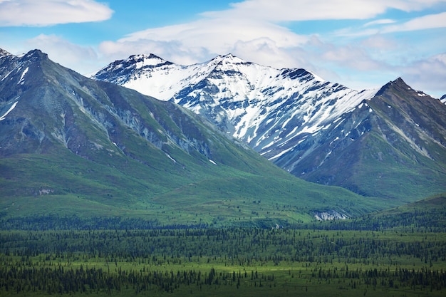 Picturesque Mountains of Alaska in summer. Snow covered massifs, glaciers and rocky peaks.