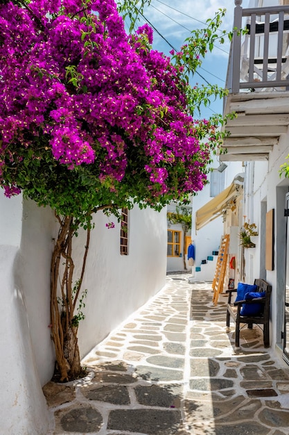 Picturesque Naousa town street on Paros island Greece