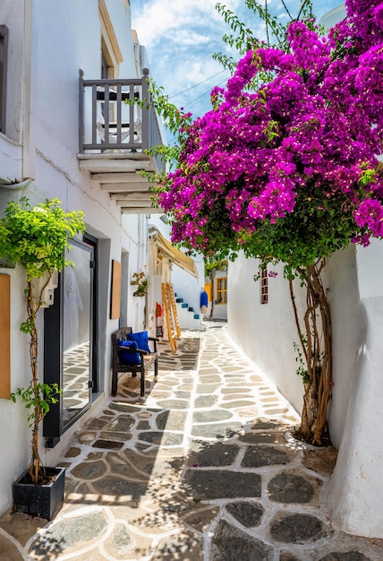 Picturesque Naousa town street on Paros island Greece