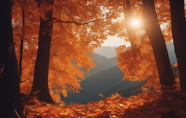 Photo picturesque natural autumn landscape with the sun in the forest and a mountain of orange leaves