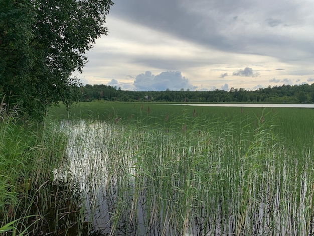 Picturesque natural park with water lake in the national natural park resting place in forest