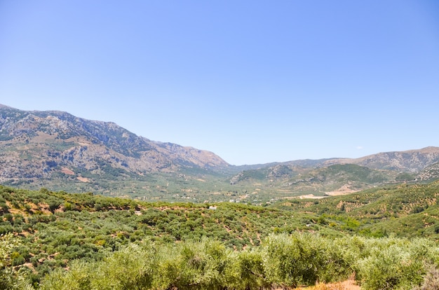 Photo picturesque plateau in greece on the island of crete