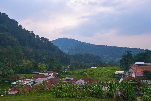 Picturesque Rural Scene Beauty Unveiled on the Farm