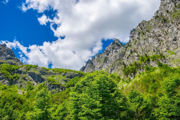 Picturesque snowcapped peaks of high mountains