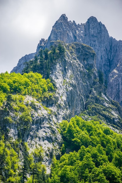 Picturesque snowcapped peaks of high mountains