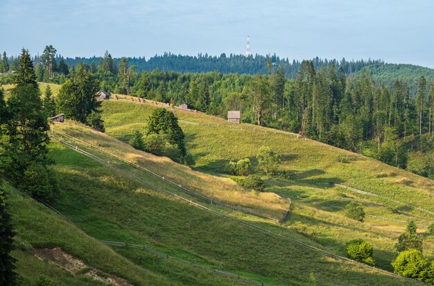 Picturesque summer Carpathian mountain countryside Ukraine