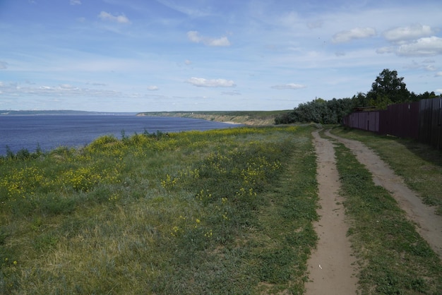 Picturesque Summer landscape with tree and herbs on the Volga River coast Ulyanovsk