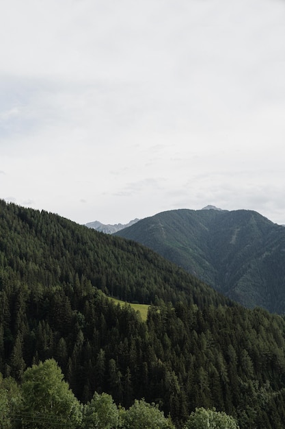 Picturesque view of mountain hill forest sky and clouds Scenic nature landscape Summer vacation travel