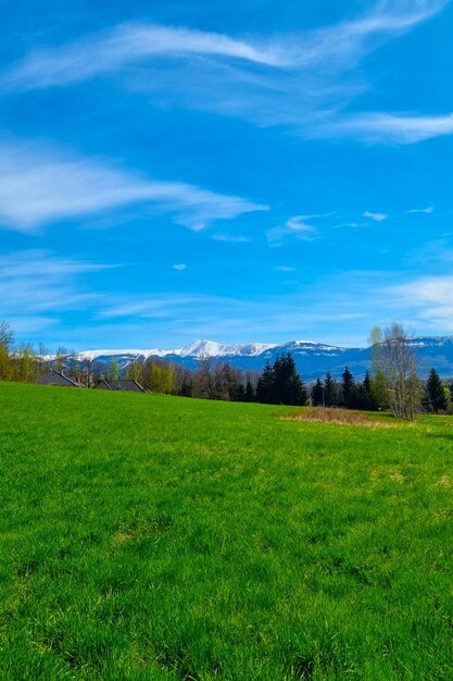 A picturesque view of the mountains and the green meadow on a sunny day