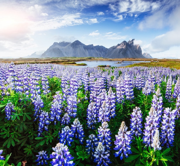 Picturesque views of the river and mountains in Iceland