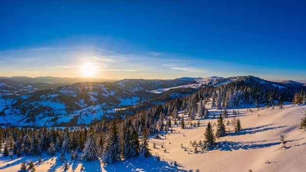 Picturesque winter panorama of mountain hills covered with snow and fir trees on a sunny clear day with the sun and blue sky. Pristine Nature Beauty Concept. Copyspace