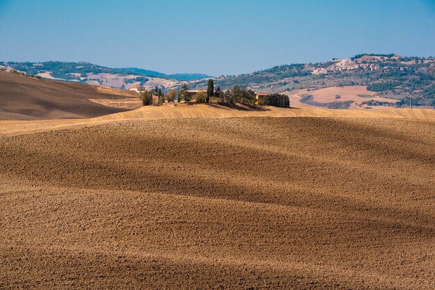 Picturesque yellow agricultural fields with cypress in Tuscany Italy