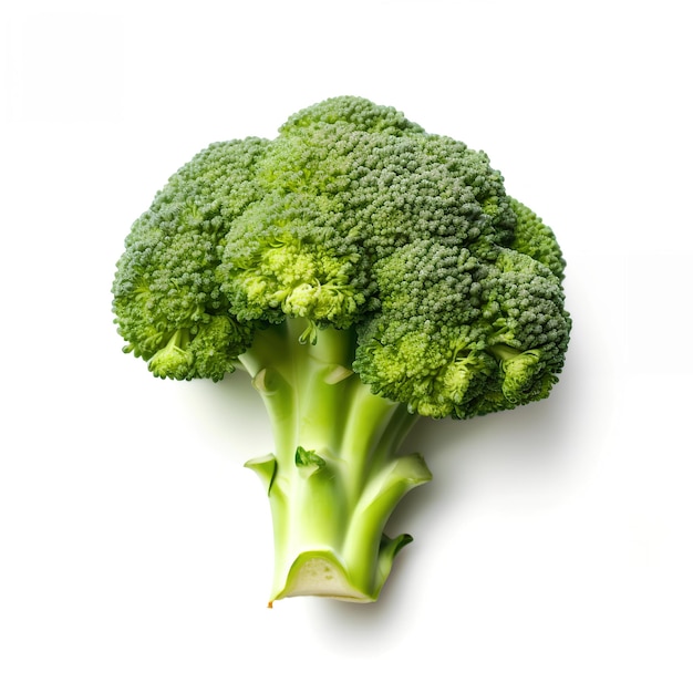 A piece of broccoli is shown on a white background.