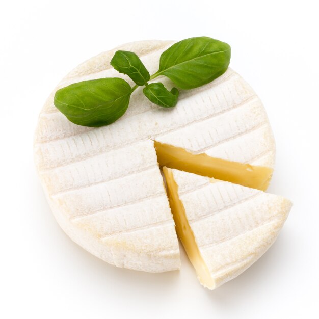 Piece of camembert cheese isolated on white. Top view