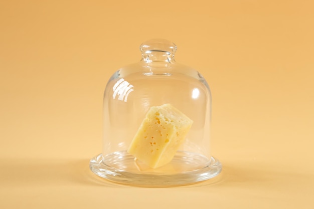 Piece of cheese with holes under the glass dome