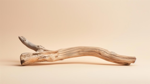 A piece of natural driftwood against a peachcolored backdrop