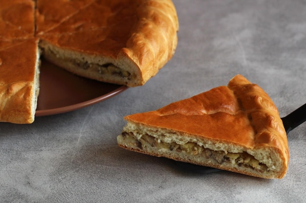 A piece of pie with chicken and mushrooms in a closeup section