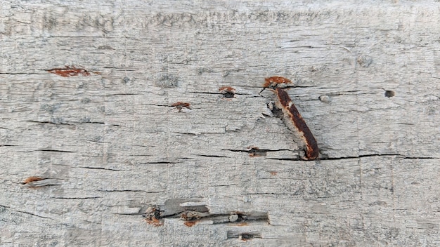 A piece of wood with a number of nails on it