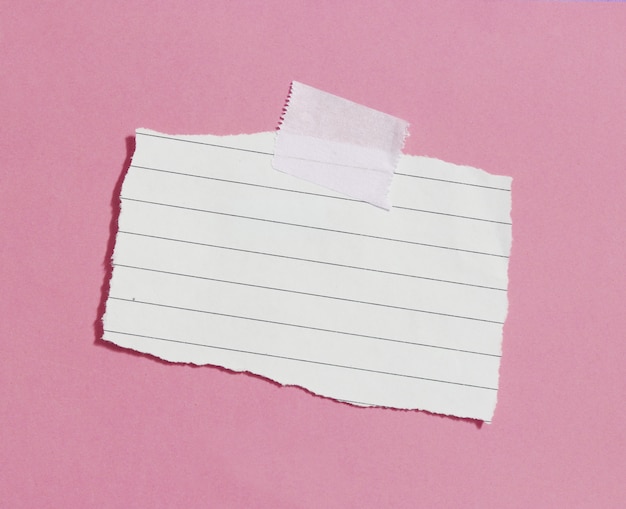 Pieces of torn notebook paper