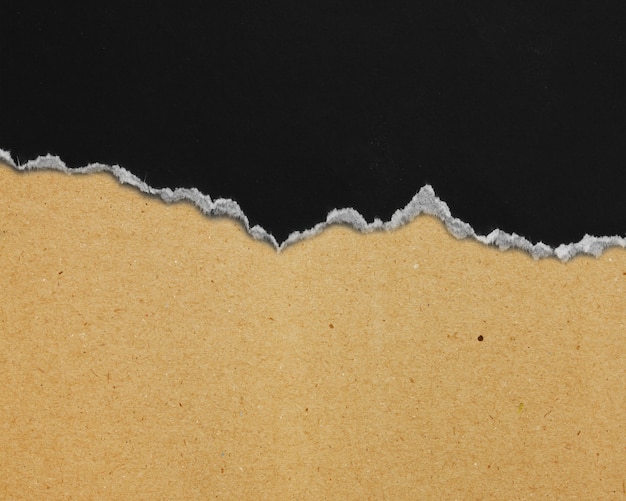 pieces of torn paper texture background