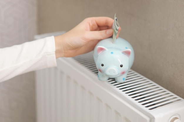 Pig piggy bank and dollar bills on a radiator indoors closeup heating concept