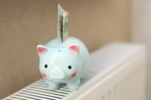 Pig piggy bank and dollar bills on a radiator indoors closeup heating concept