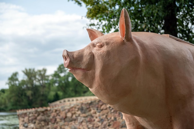 A pig sculpturebench on a hill in Pakruojis manor park Lithuania