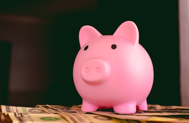 A piggy bank over dollar bills in a house window with part of a curtain showing