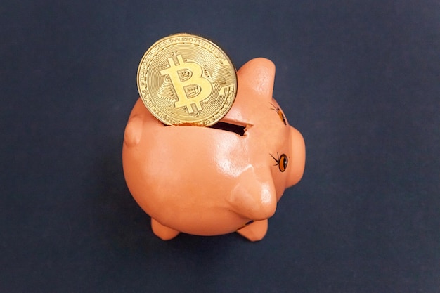 Piggy bank and golden bitcoin coin virtual money on black background cryptocurrency and saving conce