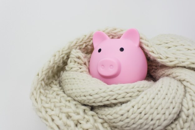 Piggy bank and knitted scarf. Energy saving concept. Concept of paying for heating in home.