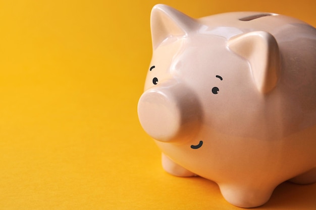 Piggy bank on a light background a symbol of money accumulation