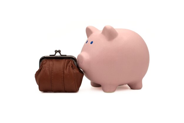 Piggy bank and retro purse on a white background