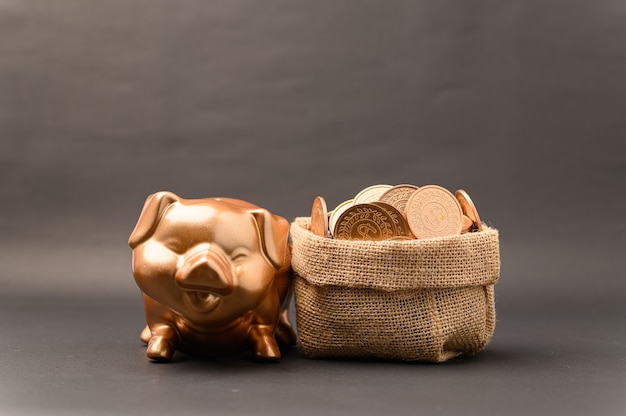 Piggy bank showing savings, income, investments, stocks